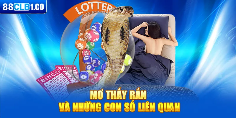 Mơ thấy rắn và những con số liên quan