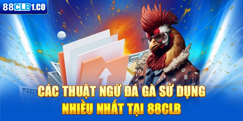 Các thuật ngữ đá gà sử dụng nhiều nhất tại 88CLB