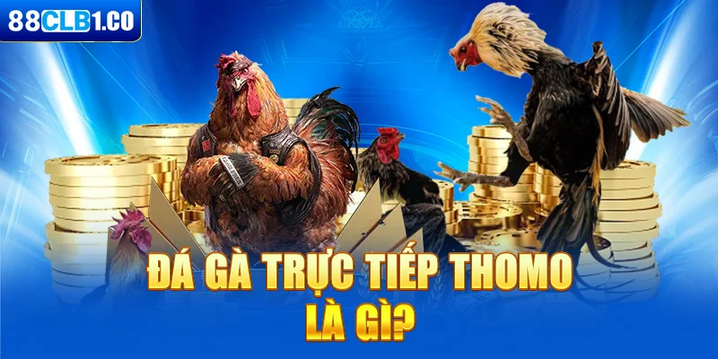 Đá gà trực tiếp Thomo là gì?