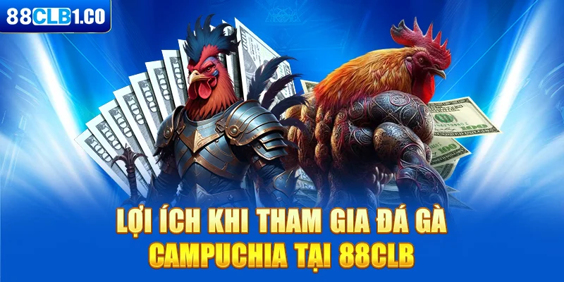 Lợi ích khi tham gia đá gà Campuchia tại 88CLB