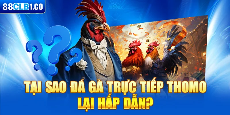 Tại sao đá gà trực tiếp Thomo lại hấp dẫn?